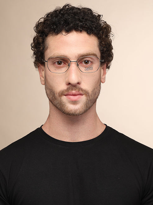 Zenith Titanium Metallic Silver Frames