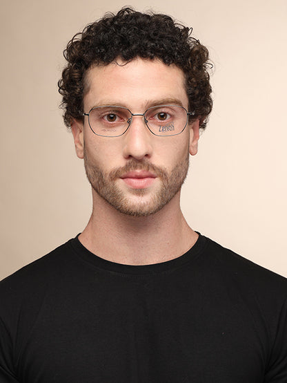 Zenith Titanium Metallic Silver Frames