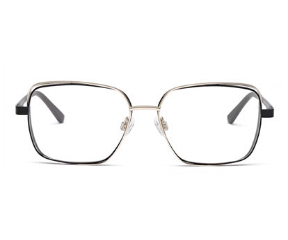 Double Framed Metalic Frame