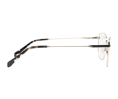 Black Gold Women Cateye Glass Frame in Metal