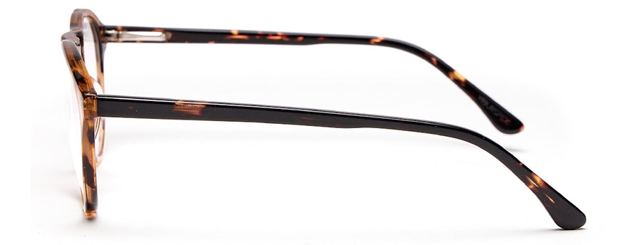 Tortoise Brown MOD Aviator Style Acetate Eyeglasses Frames for Men