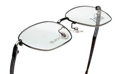 Zenith Titanium Metallic Silver Frames