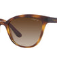 Vogue Eyewear Female Havana Gradient Sunglasses