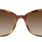 Vogue Eyewear Female Havana Gradient Sunglasses