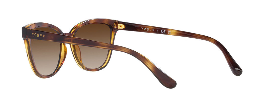 Vogue Eyewear Female Havana Gradient Sunglasses