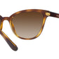 Vogue Eyewear Female Havana Gradient Sunglasses