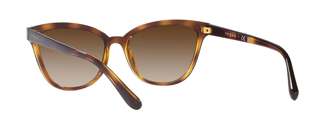 Vogue Eyewear Female Havana Gradient Sunglasses