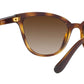 Vogue Eyewear Female Havana Gradient Sunglasses