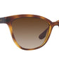 Vogue Eyewear Female Havana Gradient Sunglasses