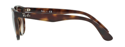 Ray-Ban Phantos Havana Sunglasses