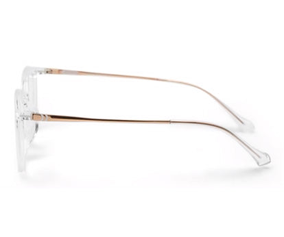 Zenith Titanium Transparent Browline Unisex Glasses