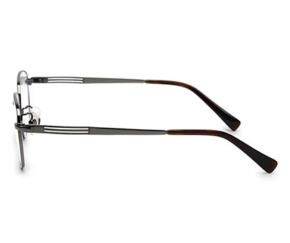 Zenith Titanium Metallic Silver Frames