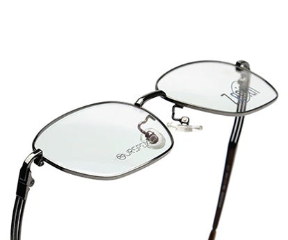 Zenith Titanium Metallic Silver Frames