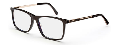 Dark Brown Gold Rectangle Eyeglasses for Men