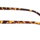 Transparent Leopard Square Sunglasses